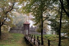 IMG_20221012_105504