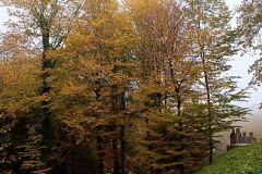 IMG_20221012_105811