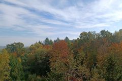 IMG_20221012_113258