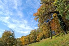 IMG_20221012_114313