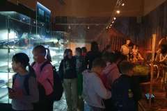 5394328a-a030-49da-9ac3-6cbc3066a2d8