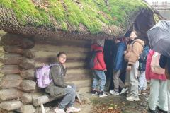 740f319e-bb3c-47fd-90ae-630e54c3d685