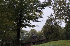 IMG_20251007_102523
