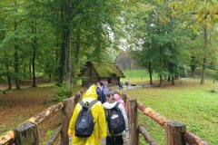 b3901d29-3322-4745-8b5f-8a081f2e8f4a