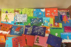 IMG_20231207_162219
