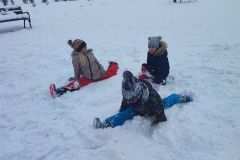 IMG_20231208_105239