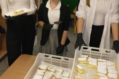 0a061659-5488-4e58-a3cc-2fd0388e7566