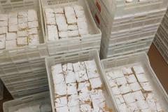 0c3e2545-7d2f-498e-8d8e-8692f3dbbd03