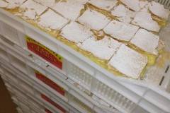 832a6570-3998-43f1-ac58-4fa193b92f8e