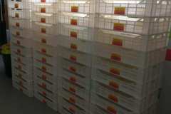 e7a64eb8-7cd2-4f07-820b-5f8869127618