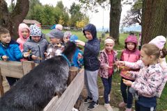 IMG_20211006_094123