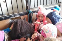 IMG_20211006_095843