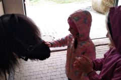 IMG_20211006_100233