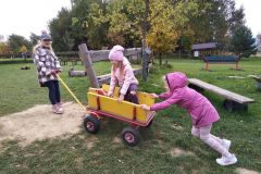 IMG_20211006_102151