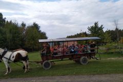IMG_20211006_102915