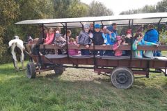 IMG_20211006_104033