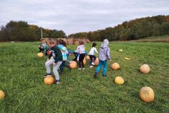 IMG_20211006_112006