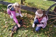 IMG_20211006_114658