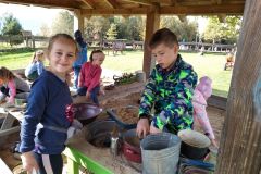 IMG_20211006_114911