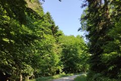 IMG_20210622_092324