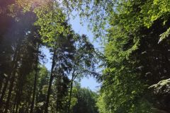 IMG_20210622_092416