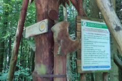 IMG_20210622_092735