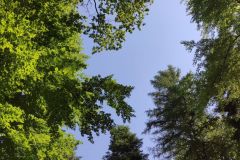 IMG_20210622_092826