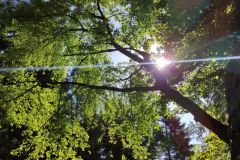 IMG_20210622_092831