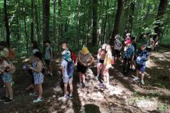 IMG_20210622_093150