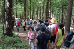IMG_20210622_093422