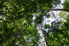 IMG_20210622_093455