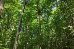 IMG_20210622_094116