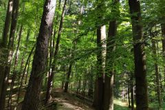 IMG_20210622_094616