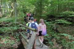 IMG_20210622_095417