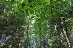 IMG_20210622_095909