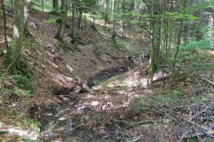 IMG_20210622_101118
