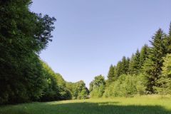 IMG_20210622_101907