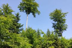 IMG_20210622_103154