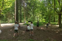 IMG_20210622_114425