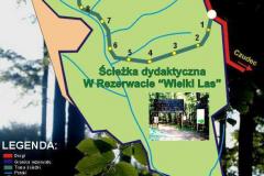 wielki-las