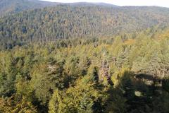 wycieczka17