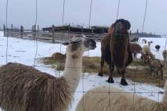 0a97b724-51ee-4856-abf1-5897d37878a6