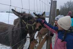 429a2d0a-f6a1-4865-999a-878b55a67327