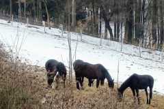 WhatsApp-Image-2026-01-27-at-19.35.08-3