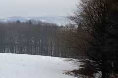 WhatsApp-Image-2026-01-27-at-19.35.08-7