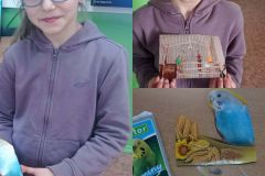 83ff48d1-cb16-411c-b66f-718fec9f773f