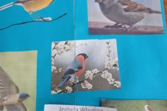 d876f4c9-45e9-4a70-a203-e69ad521bbfb