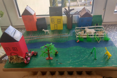 projekt5