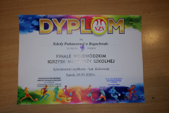 łyżwiarstwo8