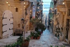 IMG_20220216_173523